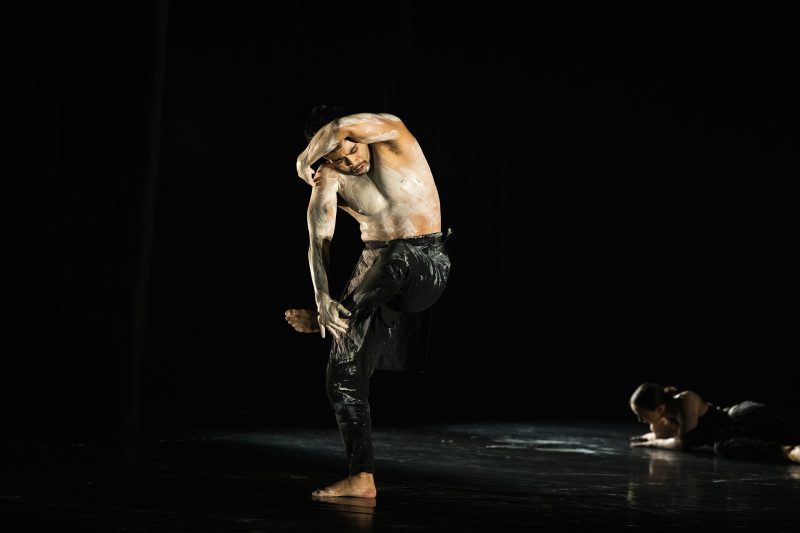 Whenua – New Zealand Dance Company in The Hague