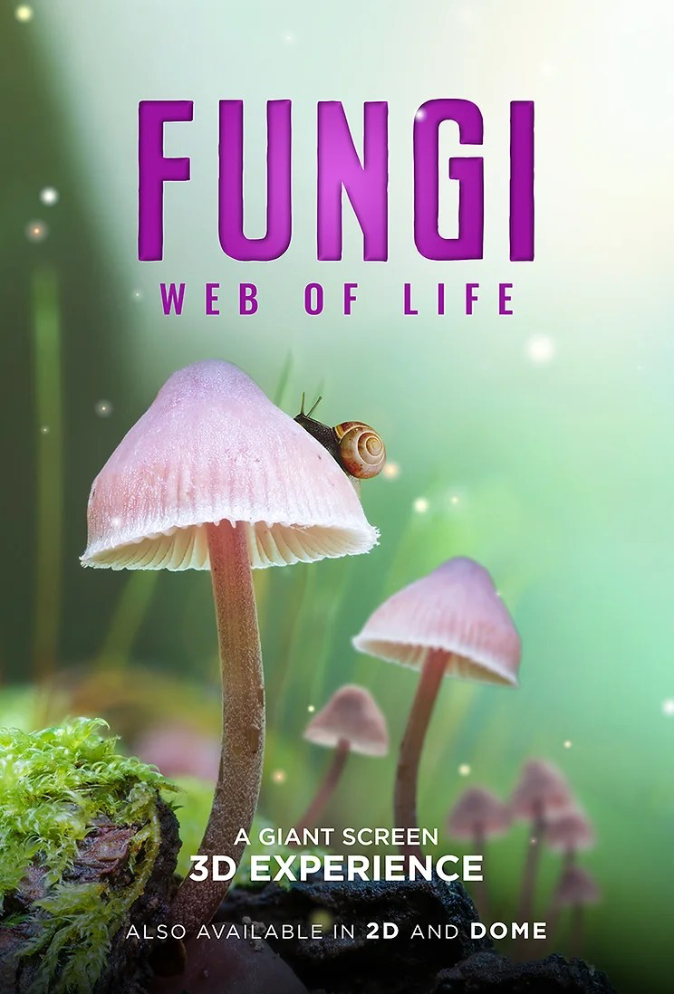 Fungi Web of Life Film